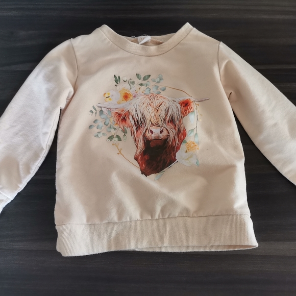 Temu cow matching set size 3-4 Y - Picture 2 of 3